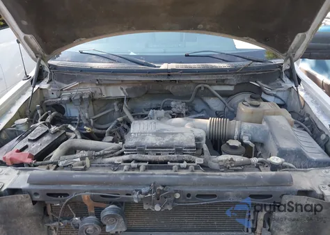 2009 Ford F-150 Stx/Xl/Xlt z USA, uszkodzony, nr VIN 1FTRF12W09KB15972